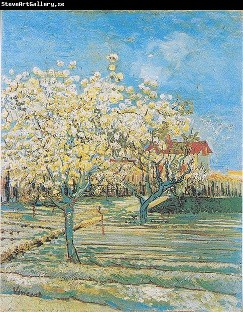 Vincent Van Gogh Flowering orchard